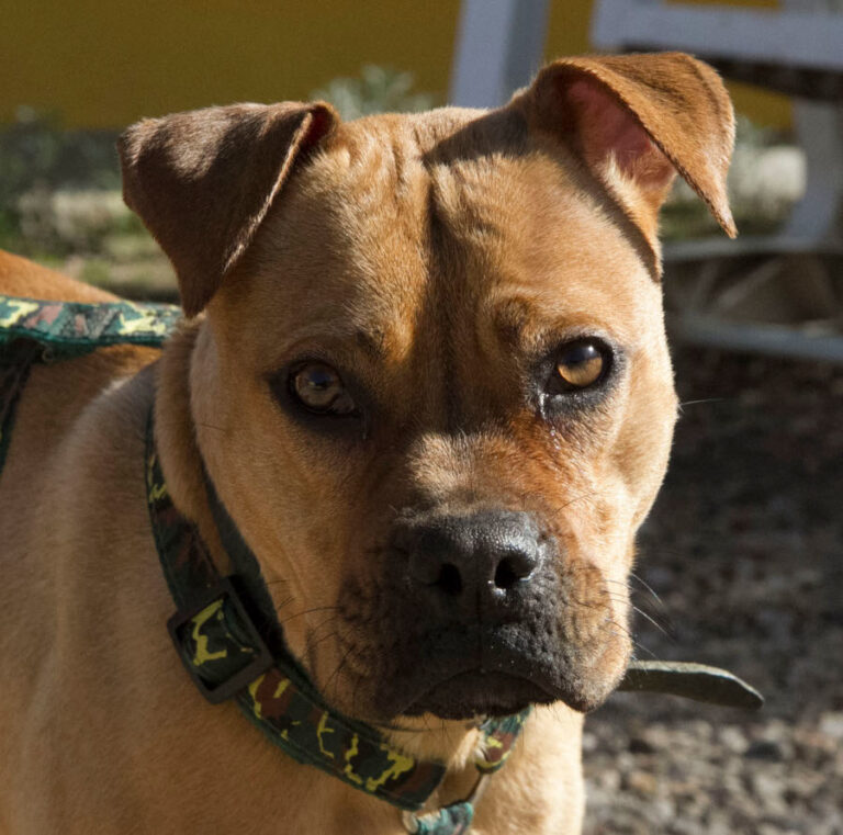 multimedia-foto56798-853-1