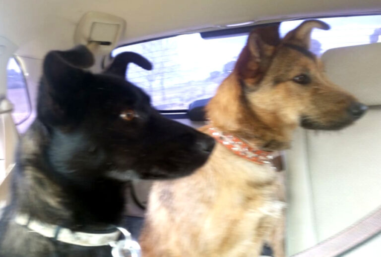 multimedia-foto56802-587-1