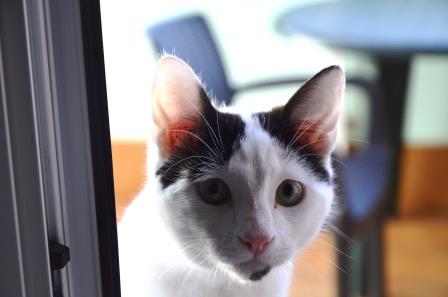 multimedia-foto56807-731-1