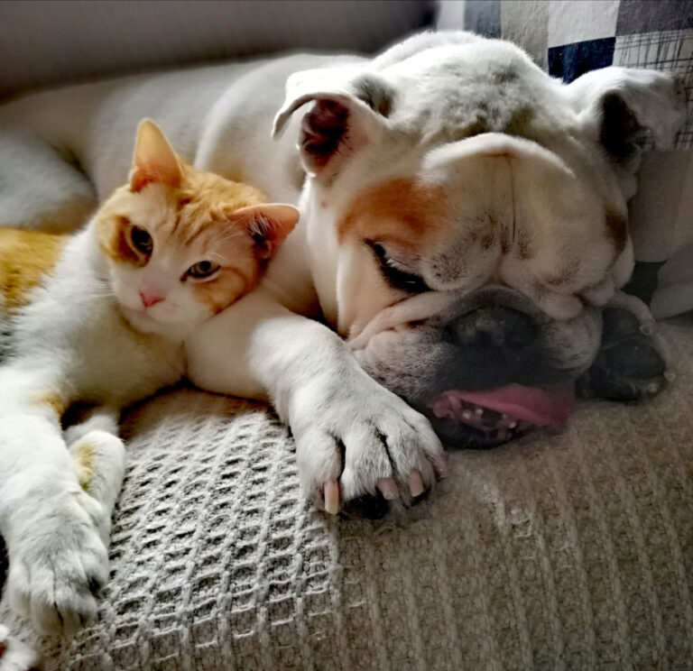 multimedia-foto56815-190-1