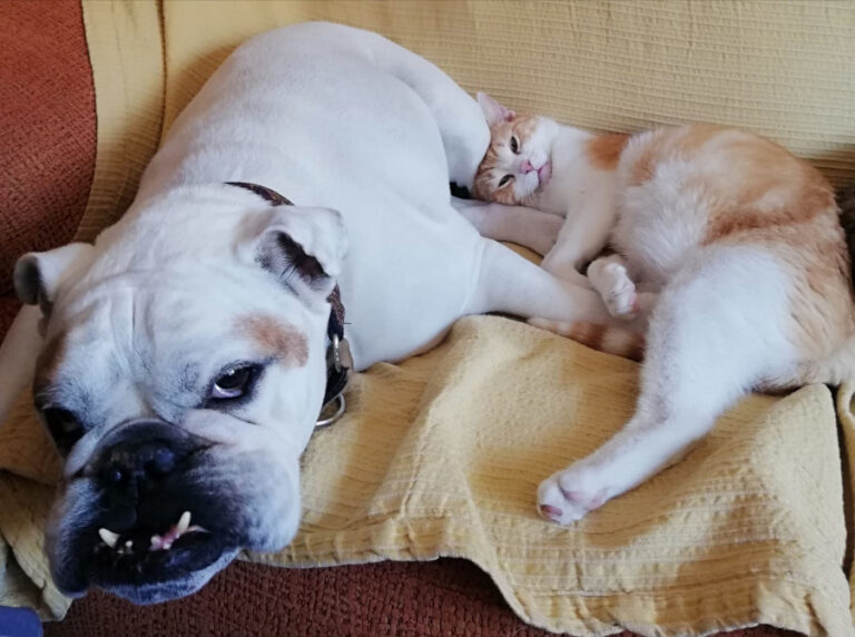 multimedia-foto56816-190-1