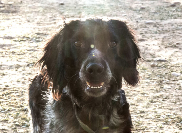 multimedia-foto56817-600-1