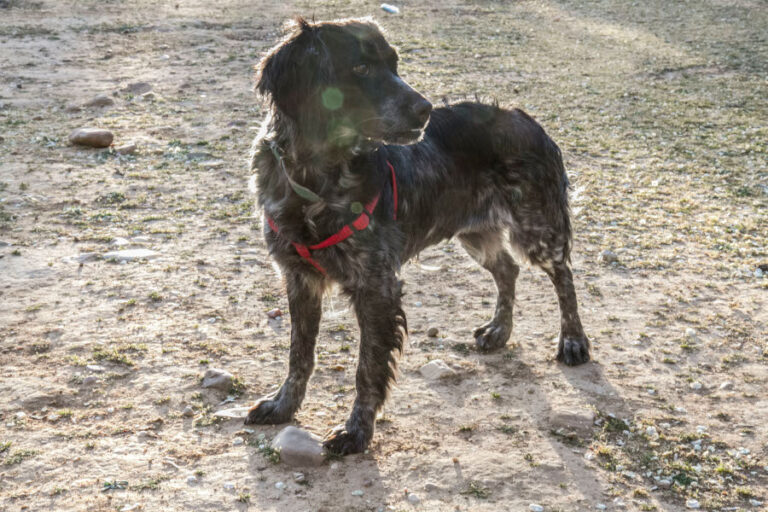 multimedia-foto56818-601-1