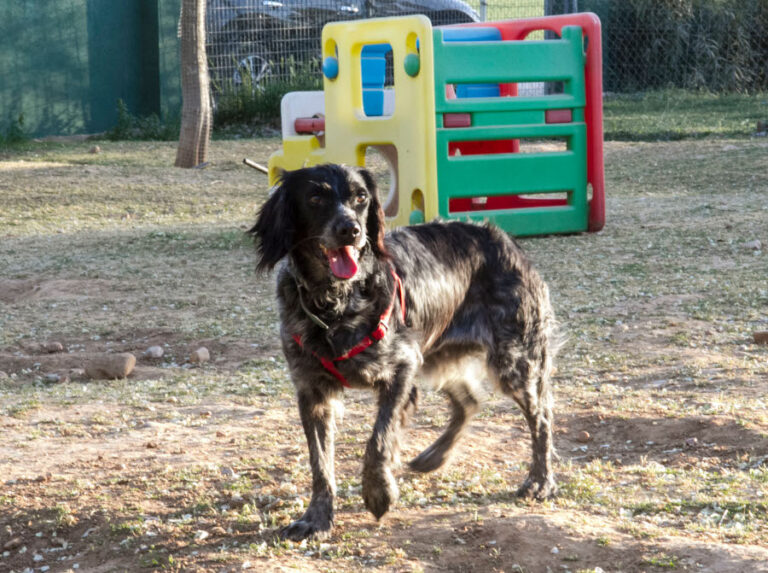 multimedia-foto56819-601-1