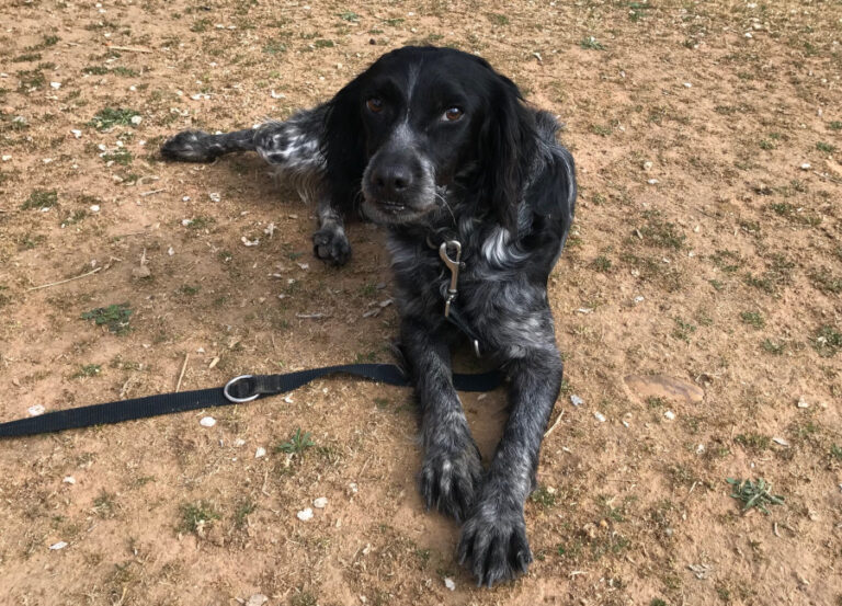 multimedia-foto56820-601-1