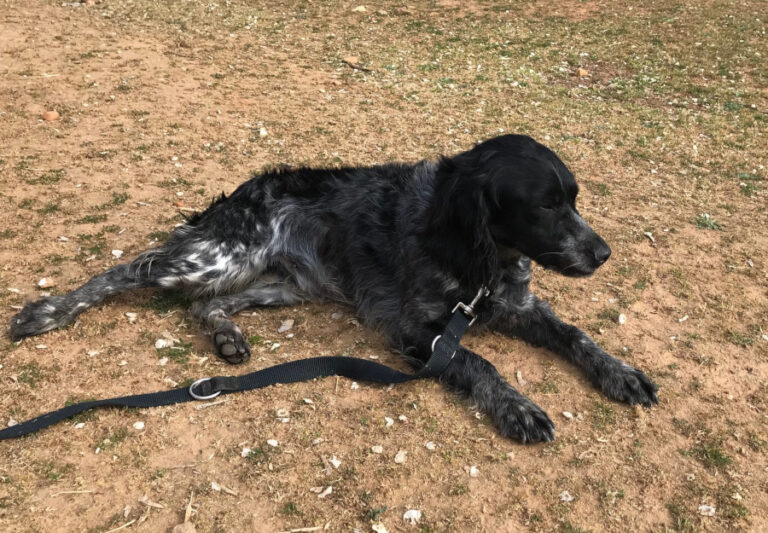 multimedia-foto56821-601-1