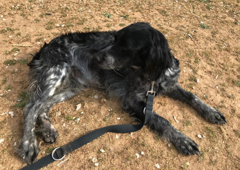 multimedia-foto56822-602-1