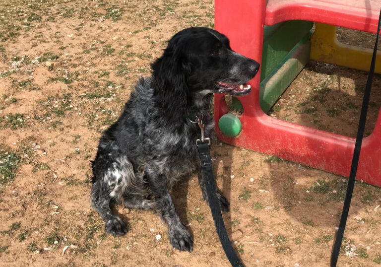 multimedia-foto56823-602-1