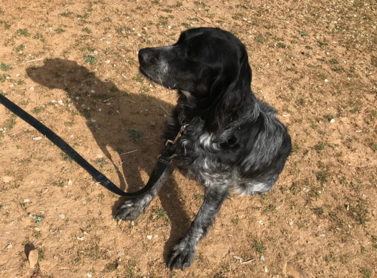 multimedia-foto56824-602-1