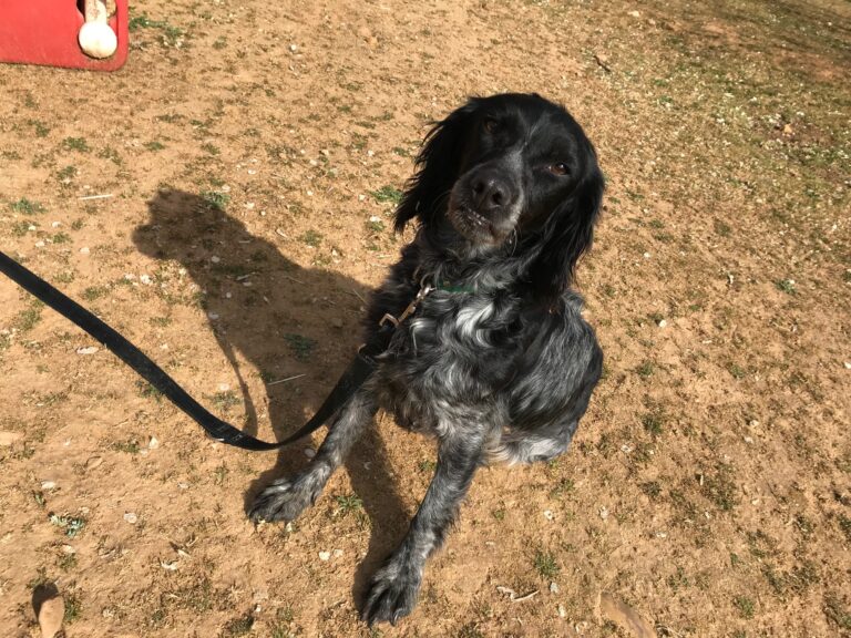 multimedia-foto56825-602-1