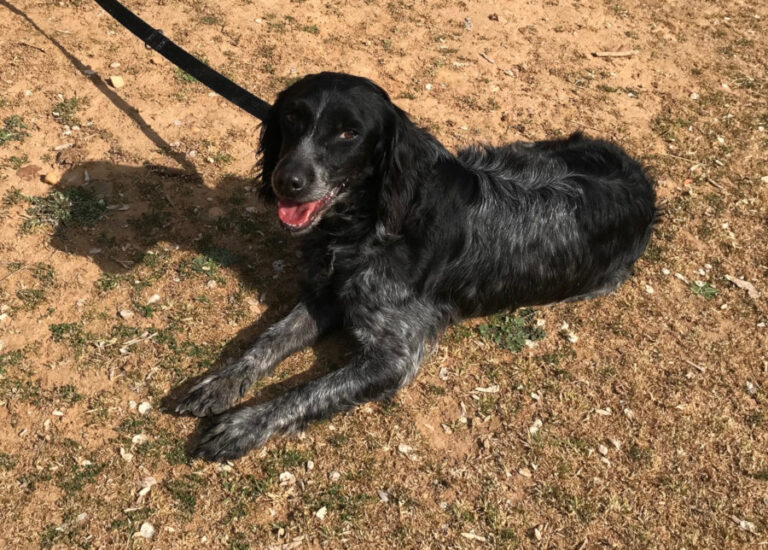 multimedia-foto56826-603-1