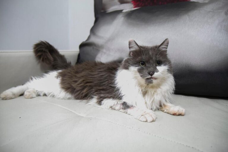 multimedia-foto56834-876-1