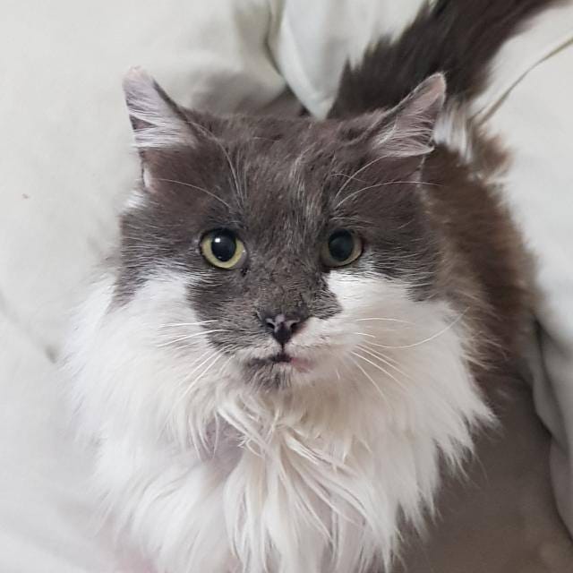 multimedia-foto56838-876-1