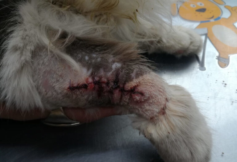 multimedia-foto56848-137-1