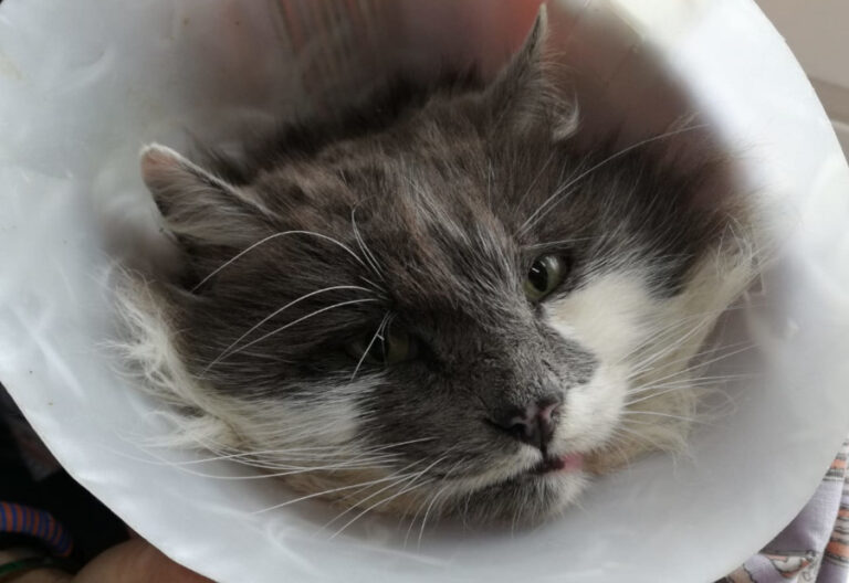 multimedia-foto56849-137-1