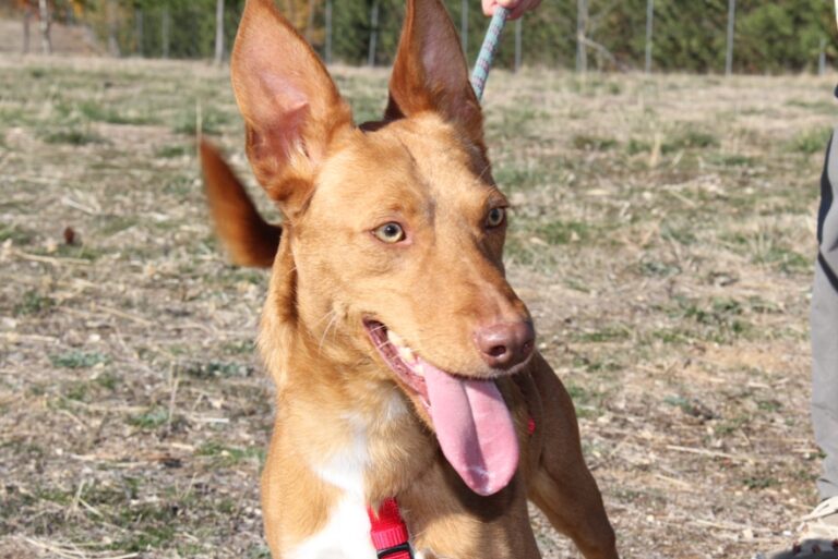 multimedia-foto56852-331-1