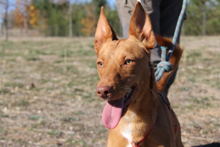 multimedia-foto56853-331-1