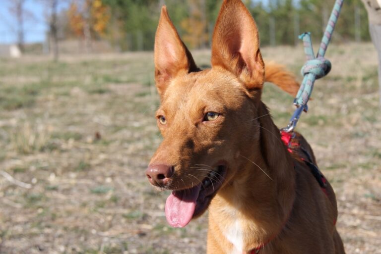 multimedia-foto56854-332-1