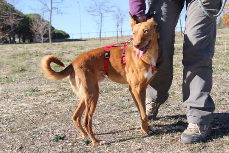 multimedia-foto56855-332-1