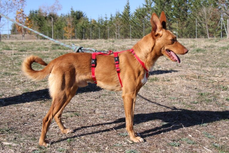 multimedia-foto56856-332-1