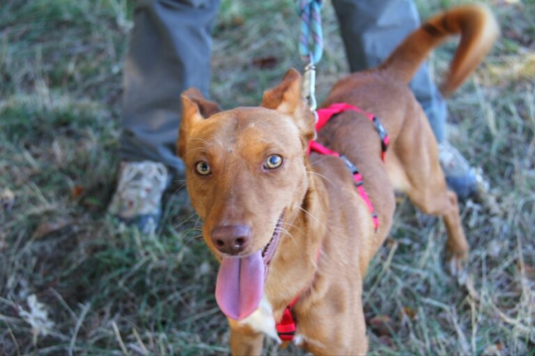 multimedia-foto56857-332-1