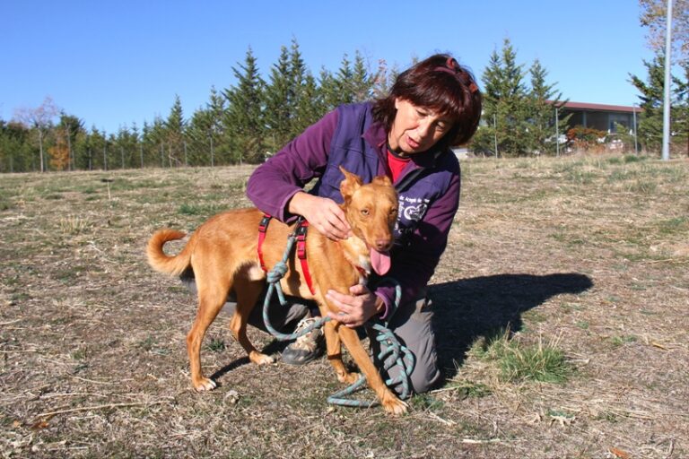 multimedia-foto56858-333-1