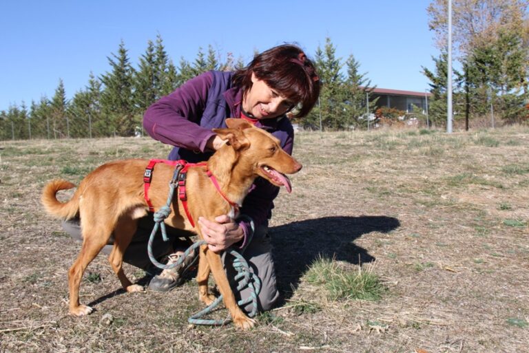 multimedia-foto56859-333-1