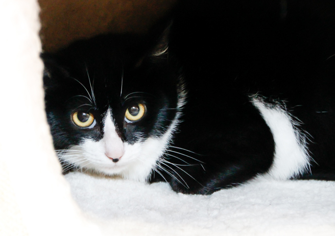 multimedia-foto56863-753-1