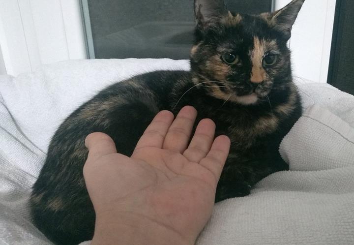 multimedia-foto56866-362-1