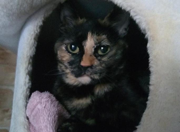 multimedia-foto56867-362-1