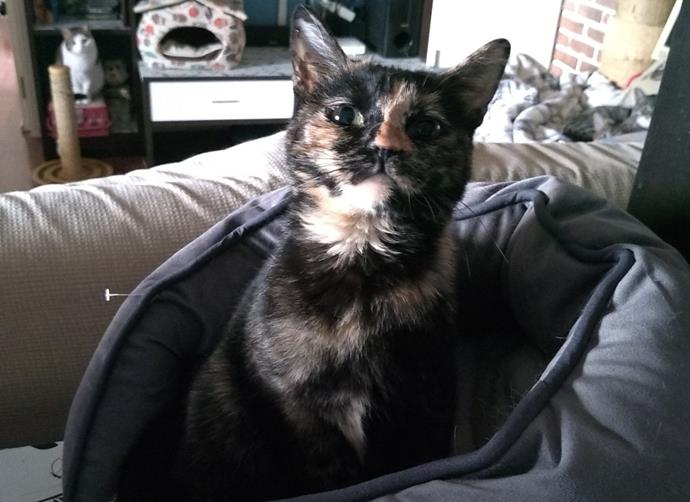 multimedia-foto56868-363-1