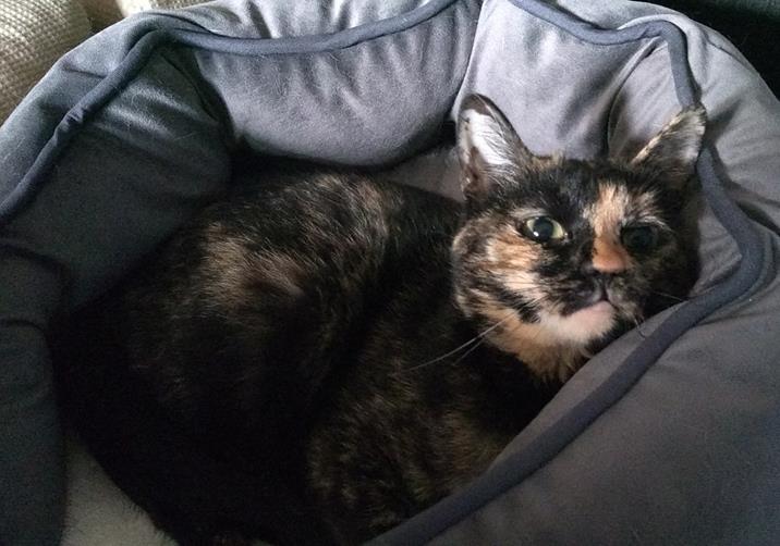 multimedia-foto56870-363-1