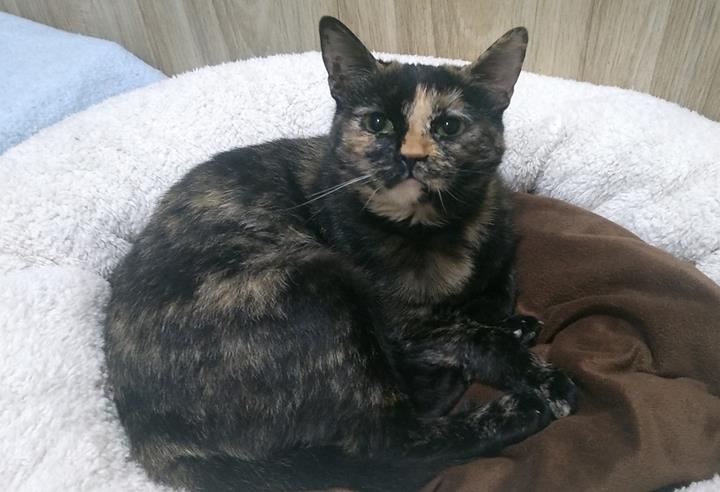 multimedia-foto56871-363-1