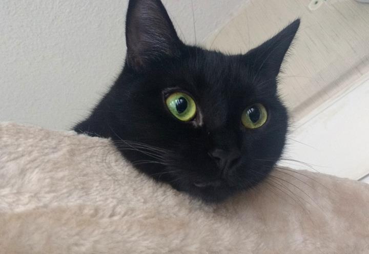 multimedia-foto56879-459-3