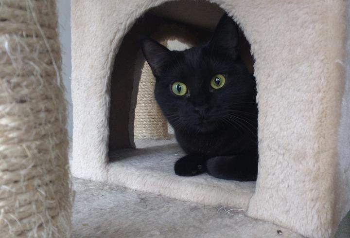 multimedia-foto56880-459-3