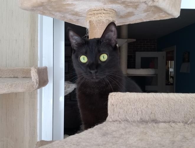 multimedia-foto56881-459-3