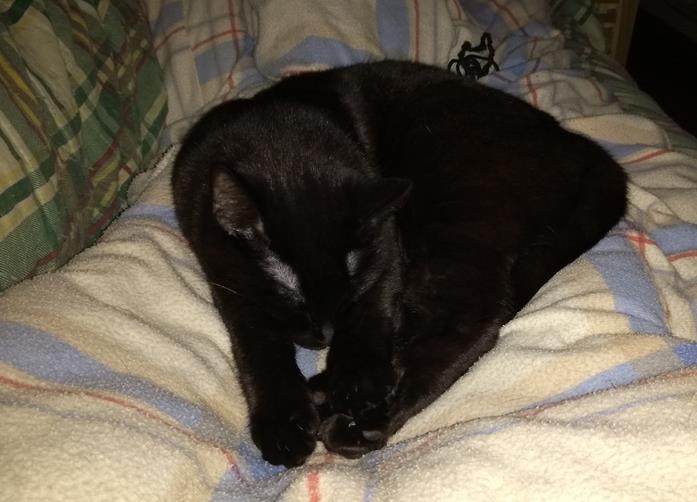 multimedia-foto56882-459-3