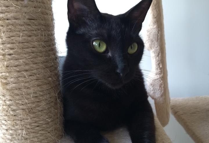 multimedia-foto56883-459-3