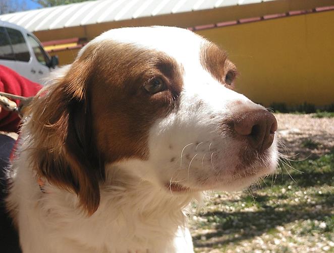 multimedia-foto56948-85-1