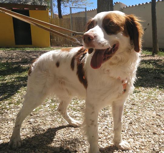 multimedia-foto56949-85-1