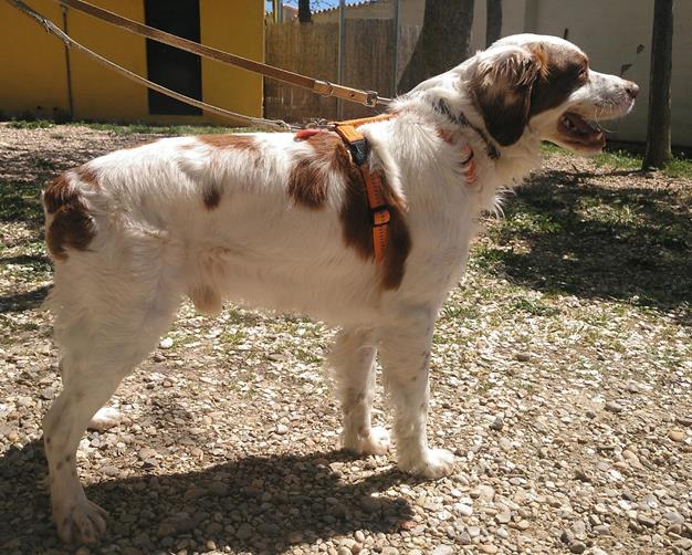 multimedia-foto56950-86-1