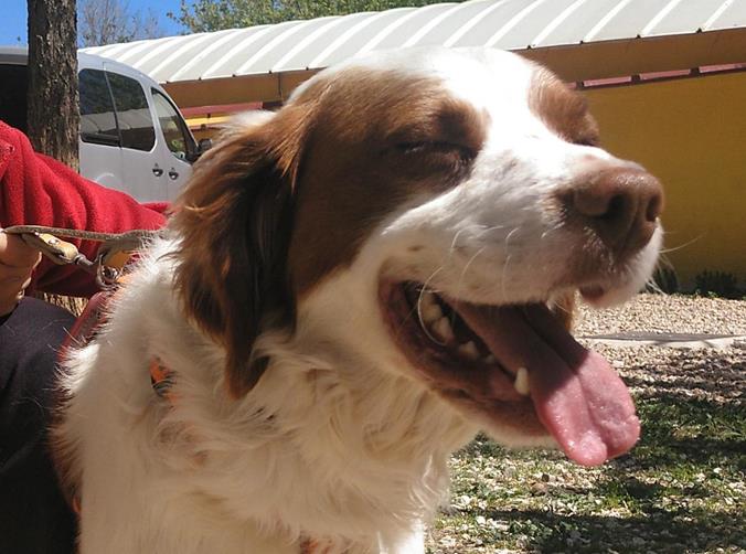 multimedia-foto56951-86-1