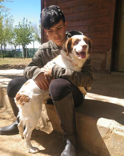 multimedia-foto56953-86-1