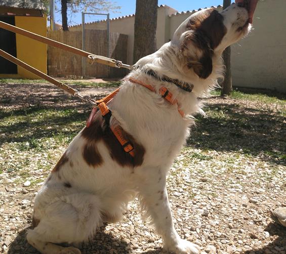 multimedia-foto56954-86-1