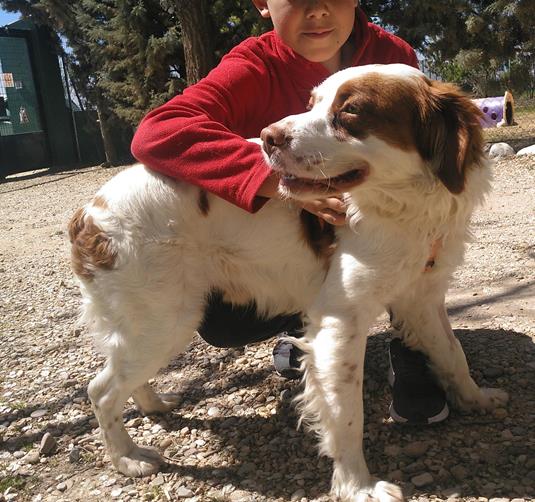 multimedia-foto56955-86-1