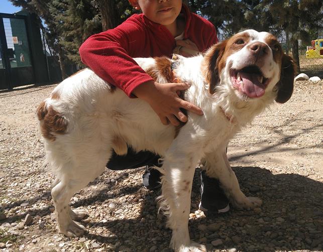 multimedia-foto56957-86-1