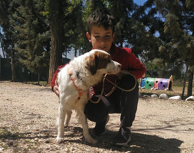 multimedia-foto56958-87-1