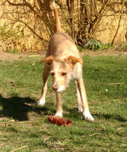 multimedia-foto56992-260-1