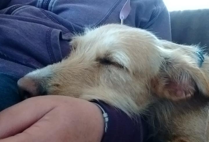 multimedia-foto56994-260-1