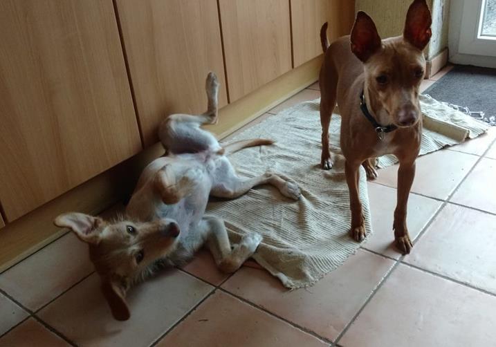 multimedia-foto56995-260-1